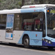 Sydney buses