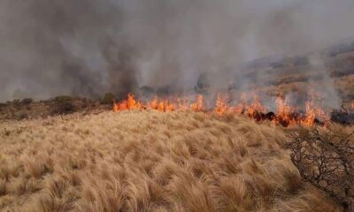 la sequia propicia las condiciones la proliferacion incendios