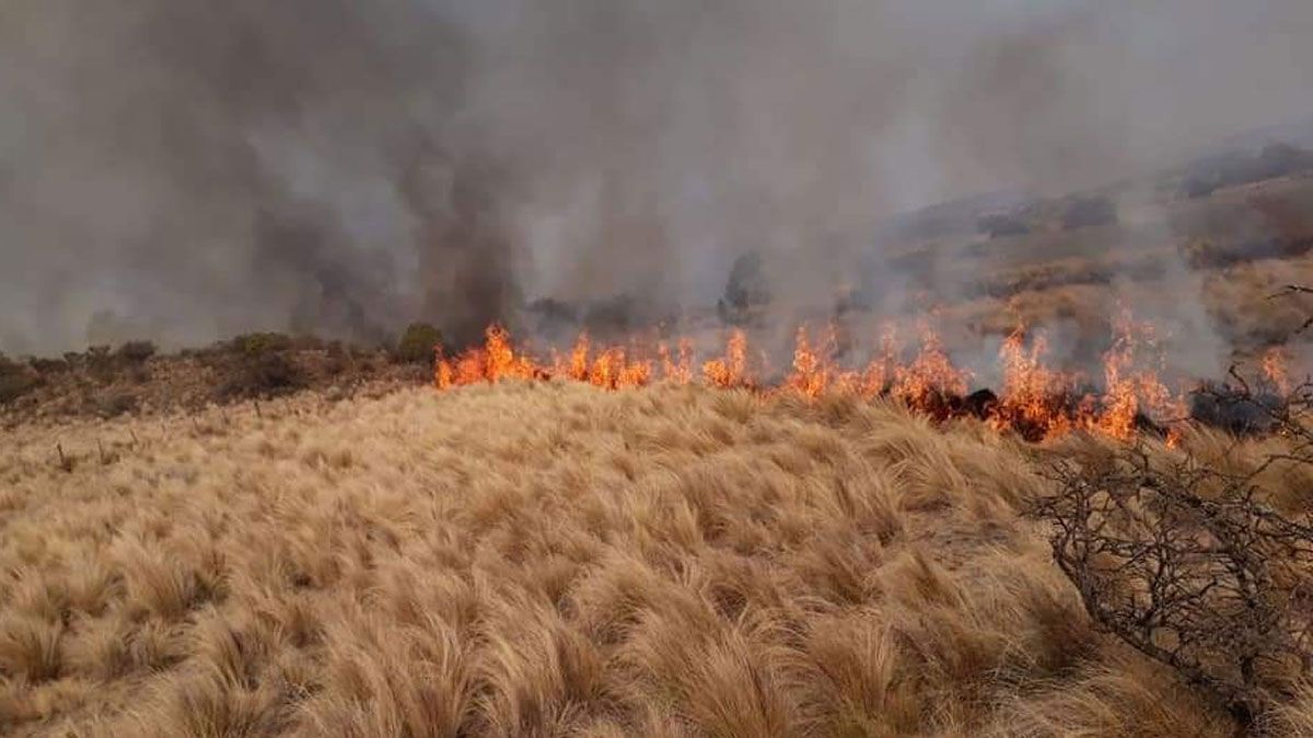 la sequia propicia las condiciones la proliferacion incendios