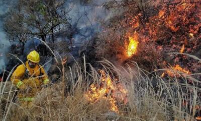 WhatsApp Image 2020 08 19 at 15 3 1597863716