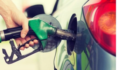 multimedia.normal.b36b7ca1e3d48d8b.42696f636f6d6275737469626c655f6e6f726d616c2e6a7067