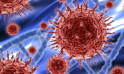 coronavirus de wuhan 0