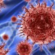 coronavirus de wuhan 0