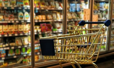 70EED84D 358F 48BC 8181 948E17355411