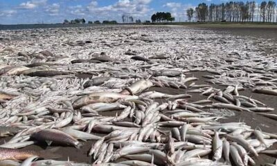 I6YUXA6IQNH6RPTKEMOGES327A