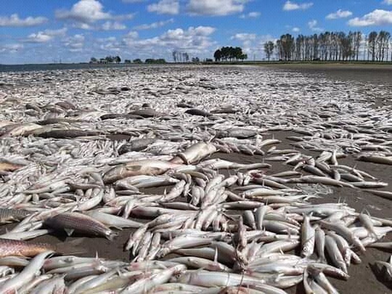 I6YUXA6IQNH6RPTKEMOGES327A