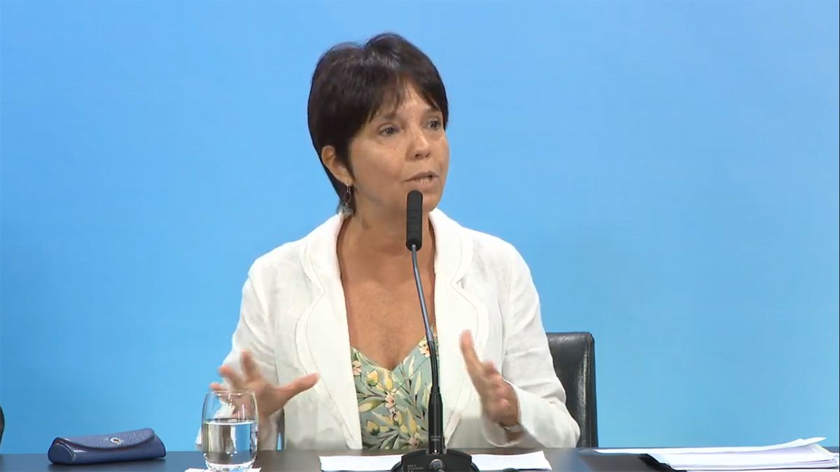 mercedes marco del pont titular la afip
