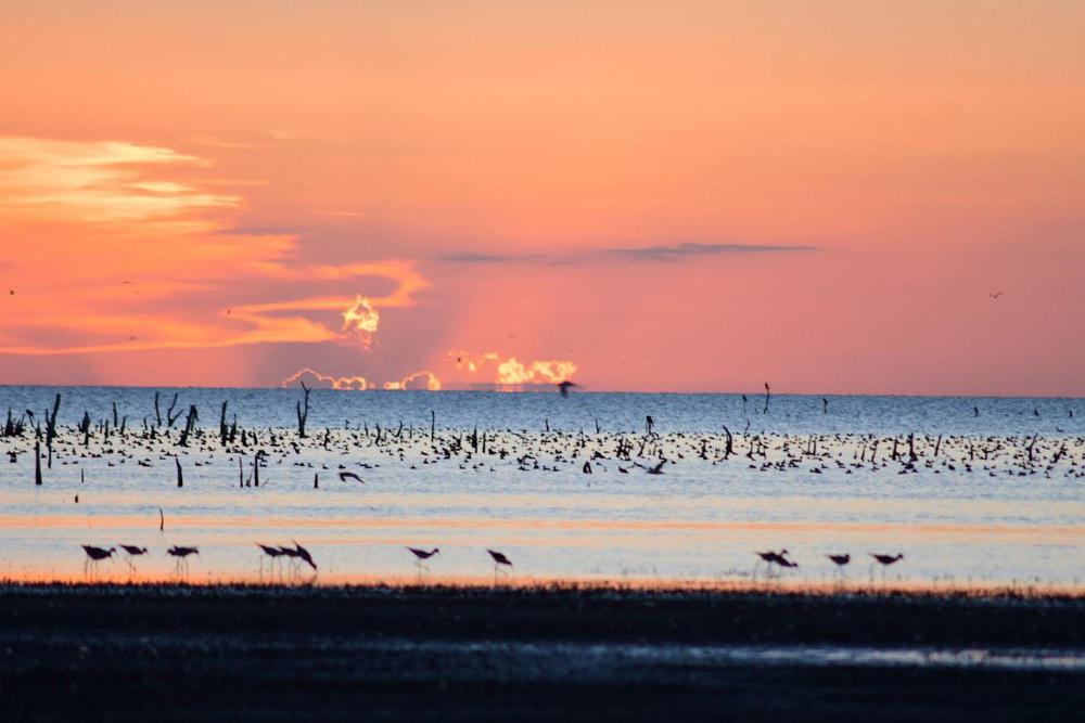 multimedia.normal.a0563344da3b412d.416e73656e757a61203320c2a920466163756e646f2052697661726f737361205f6e6f726d616c2e4a5047