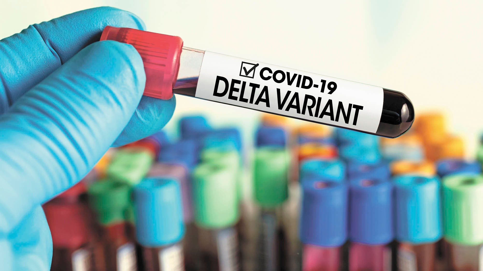 delta shutterstock 1987507253.jpg 1269359182