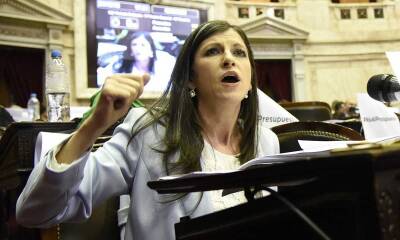 diputada vallejos