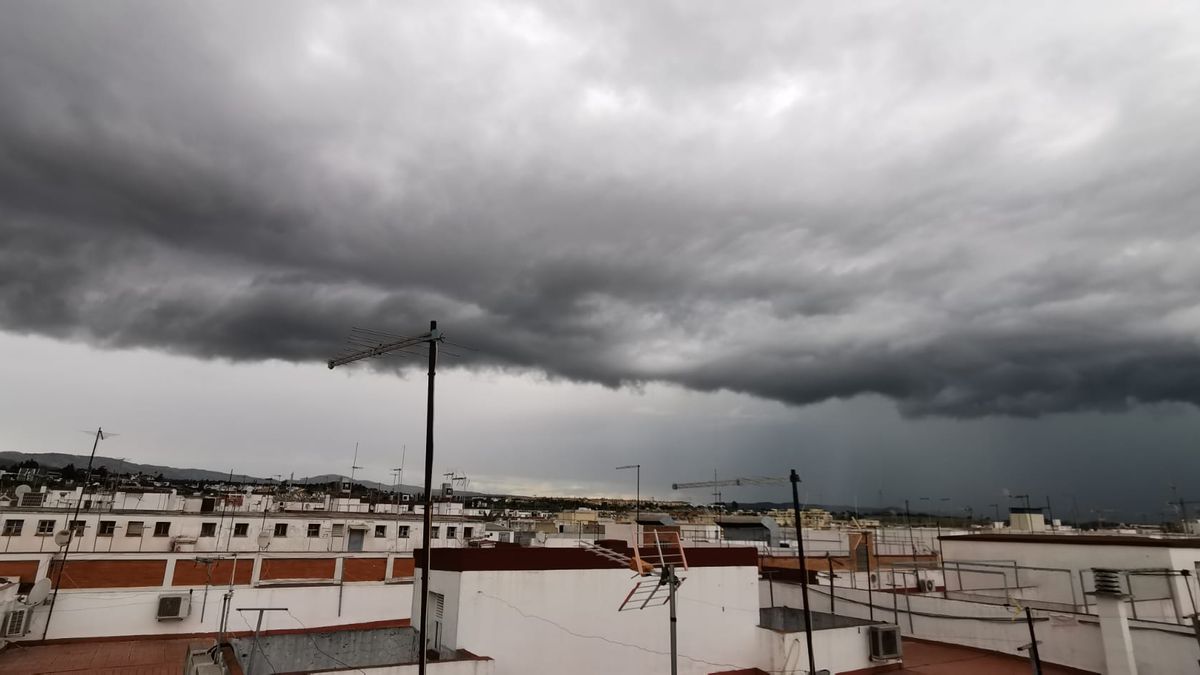 a8c5e77f c1cb 489d b0dc 4a209b8e3714 16 9 discover aspect ratio default 0