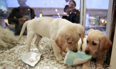 ELAISJKYF3IFIQ3E447NWWFNEY