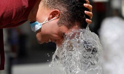 ola de calor argentina 1258550