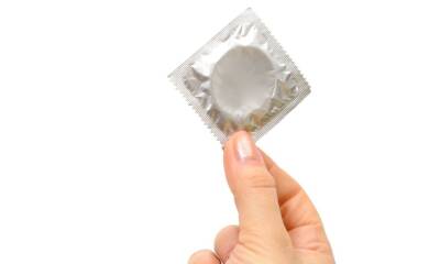 338c6fde d8d3 43c2 a8e9 ebe5651219aa alta libre aspect ratio default 0