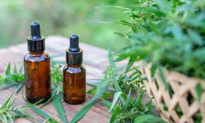 aceite cannabis beneficios piel