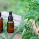 aceite cannabis beneficios piel