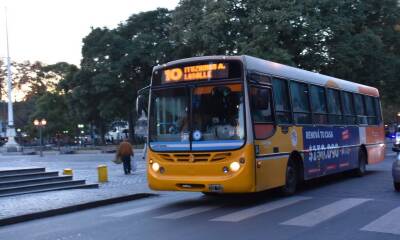 colectivo 2