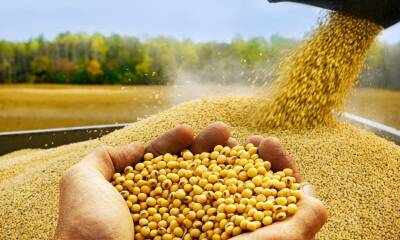 el complejo soja es el OrZGZZpuv 2000x1500 1