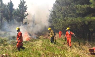 incendios corrientesjpg 1