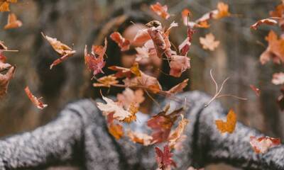 f.elconfidencial.com original 2d2 05e d75 2d205ed7594f0dbf831c5ea07c617749