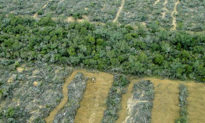 a0718e8d gpa sanfrancisco 04 1024x768 1