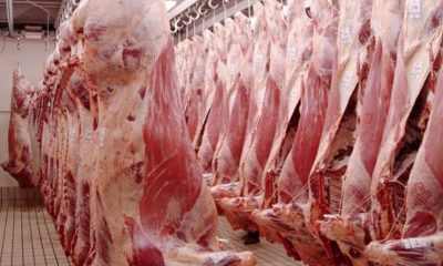 exportacion de carne