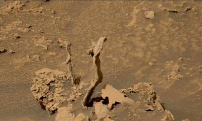 roca con forma de arbol en el crater gale de marte