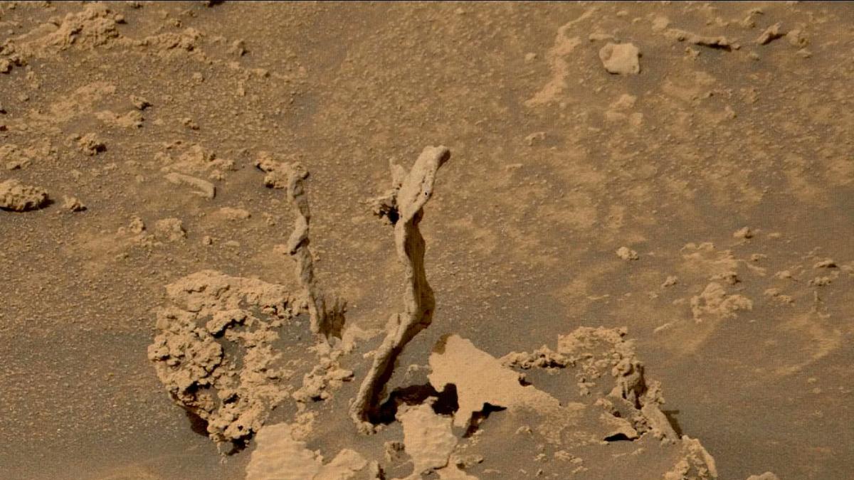 roca con forma de arbol en el crater gale de marte