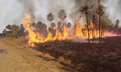 whatsapp image 2022 01 21 at 3.37.05 pm