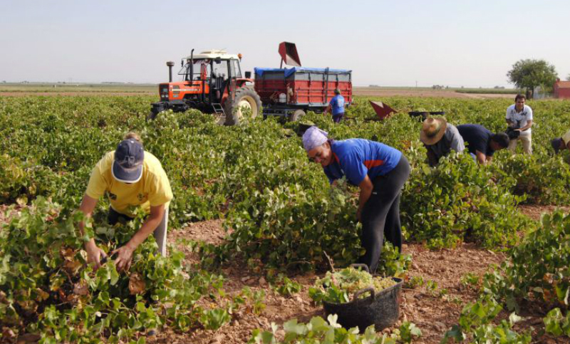 70% de aumento para los trabajadores rurales • PostaNews