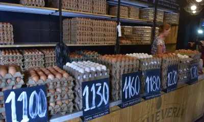 OXAX2EEWYFBGRAVXPIWJB7LZLI