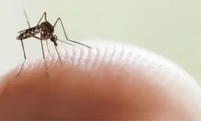 f848x477 21354 79157 2030 750x422 1