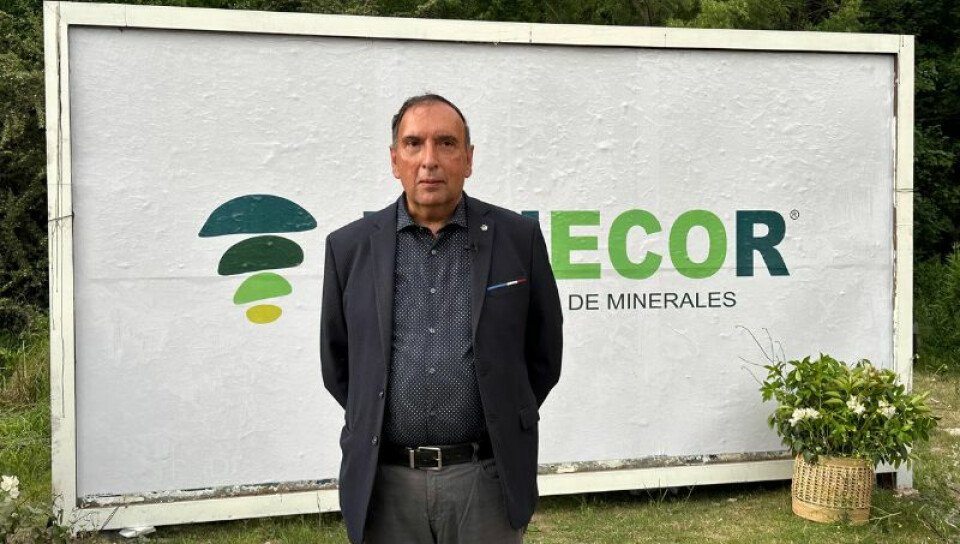 minecor palacio minetti medium size