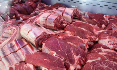 carne 6