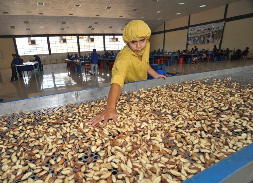 Almendras 1024x744 1