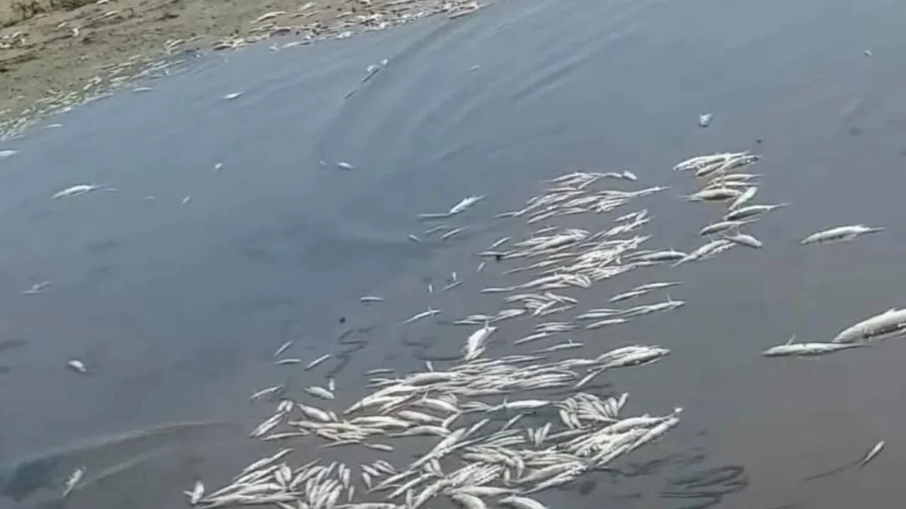 f1280x720 297205 428880 5050