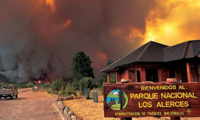 incendio parque nacional los alercesjpg