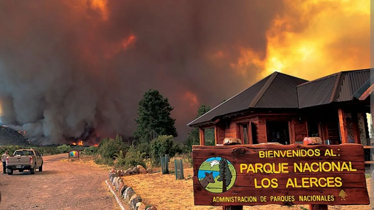 incendio parque nacional los alercesjpg