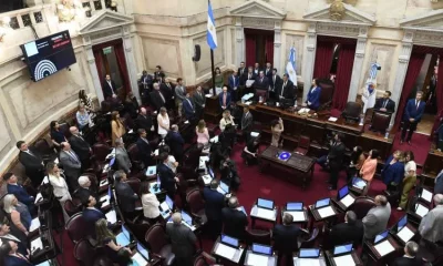senado recinto preside villarruel bandera