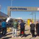 bimbo cordoba 1024x649 1 1000x600 1