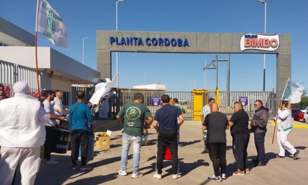 bimbo cordoba 1024x649 1 1000x600 1