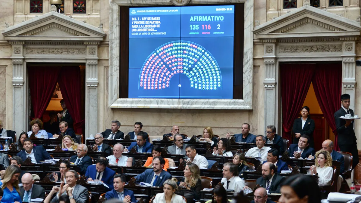 diputados ley basesjpg