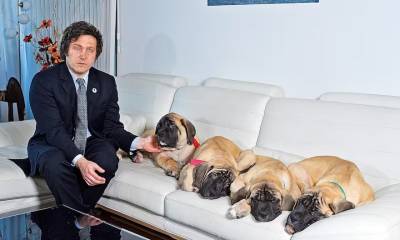 los perros de milei son cinco conan fallecido en QG2DB4JBXBDQRPRKSA2URQTPAA