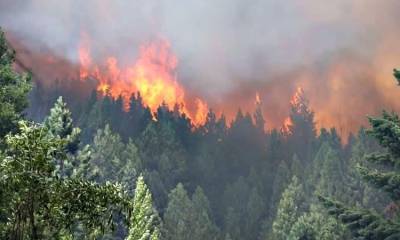 fuegopatagonia.jpg 760710429