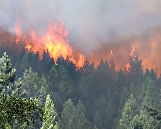 fuegopatagonia.jpg 760710429