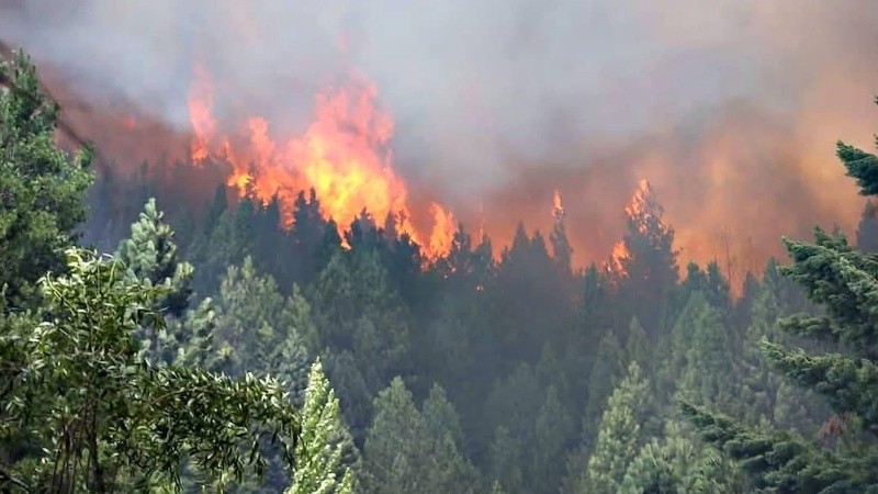 fuegopatagonia.jpg 760710429